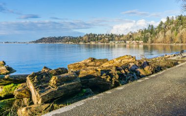 Lincoln Park 'tan Batı Seattle sahil şeridine....