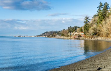 Batı Seattle, Washington 'daki Lincoln Park' taki sahil ve kıyı evleri manzaralı..