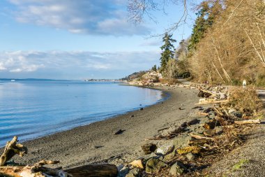 Batı Seattle, Washington 'daki Lincoln Park' taki sahil ve kıyı evleri manzaralı..