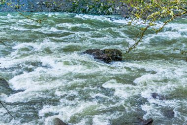 Snoqualmie Nehri 'ndeki akıntıların ortasında bir kaya beliriyor..