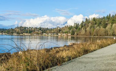 Lincoln Park 'tan Batı Seattle sahil şeridine....
