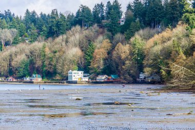 Dash Point, Washington 'daki evler.