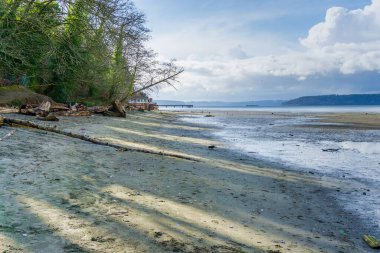 Washington 'daki Dash Point Eyalet Parkı' nda deniz çekildiğinde kıyı şeridi manzarası.