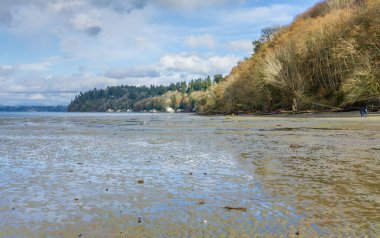 Washington 'daki Dash Point Eyalet Parkı' nda deniz çekildiğinde kıyı şeridi manzarası.