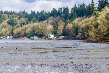 Dash Point, Washington 'daki evler.