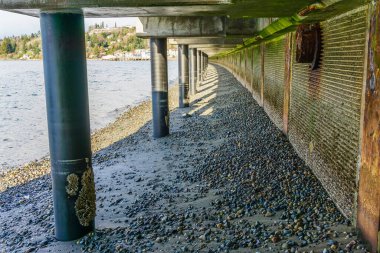 Redondo Beach, Washington 'daki sahil yolunun altından bir görüntü..