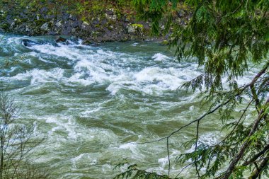 Kışın Washington 'daki Snoqualmie Nehri' ne akan sular..