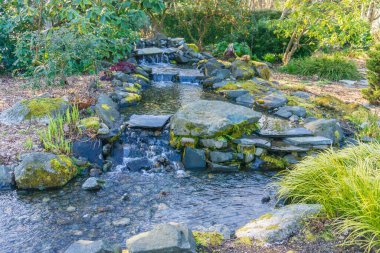 Washington, Seatac 'ta bir botanik bahçesindeki derenin manzarası..