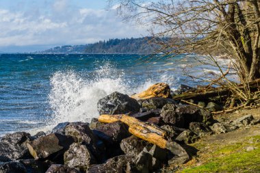 Washington 'daki Saltwater State Parkı' nda rüzgarlı bir günde siyah kayalar kıyıya vuruyor..