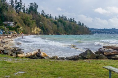 Rüzgarlı bir günde Washington 'daki Tuzlu Su Parkı' nın kıyı şeridi manzarası.