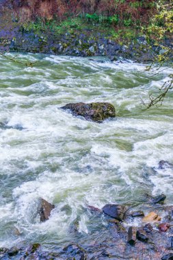 Washington 'daki Snoqualmie Nehri' nde sular akıyor.