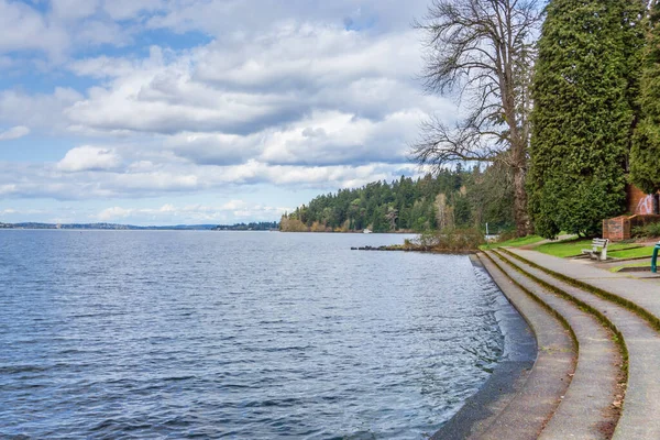 Seward Park Tan Washington Gölü Manzarası — Stok fotoğraf