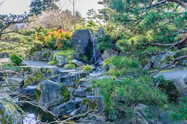 Una Cascada Jardín Botánico Seatc Washington — Foto de Stock