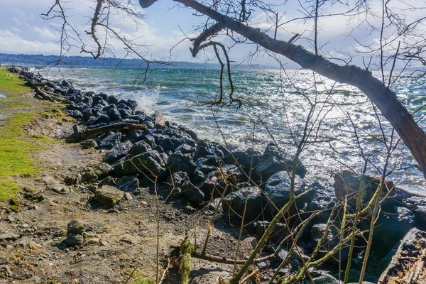 Tylne Skały Brzegu Wietrzny Dzień Satlwater State Park Stanie Waszyngton — Zdjęcie stockowe