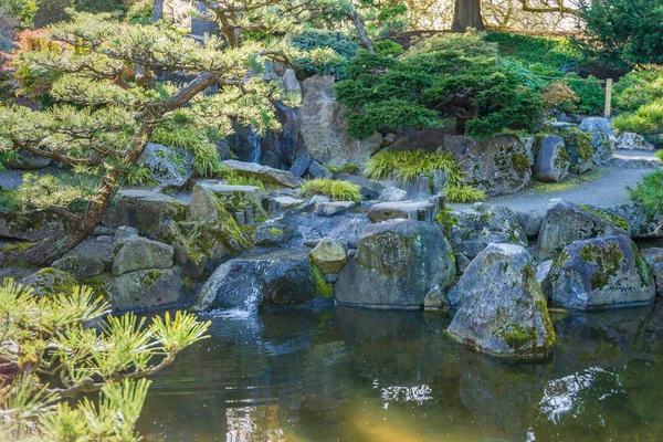 Gond Com Rochas Jardim Botânico Seatac Washington — Fotografia de Stock