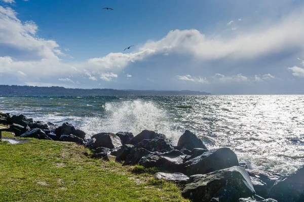 Back Rocks Lin Shore Windy Day Satlwater State Park Washington — Stock fotografie