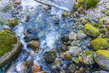 Washington 'daki Denny Creek' te temiz su taşları akıyor..