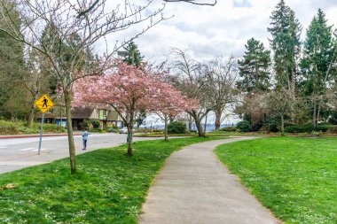 Baharda Seattle, Washington 'daki Seward Park' ta yürüyüş manzarası.