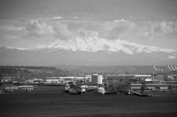 Una Vista Los Muelles Como Puerto Tacoma Monte Rainier —  Fotos de Stock