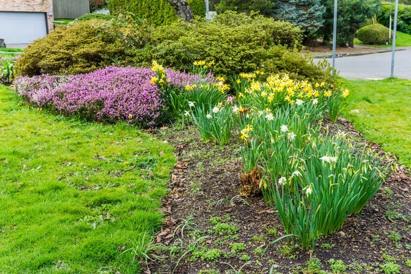 Egy Lüktető Tavaszi Kert Seattle Ben Washingtonban — Stock Fotó