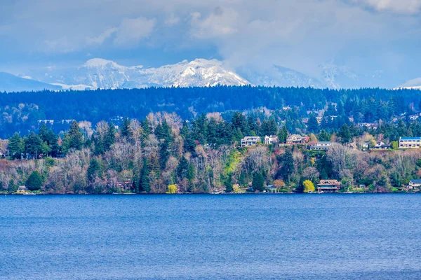 Utsikt Över Bostäder Bellevue Washington Med Cascades Fjärran — Stockfoto