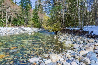 Washington 'daki Denny Creek' te temiz su taşları akıyor..
