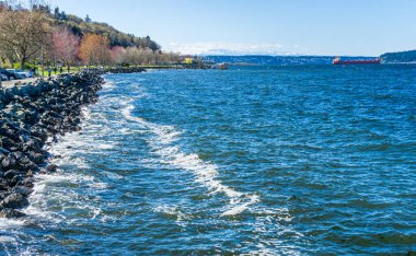 Ruston, Washington 'daki deniz manzarası. Uzakta Oympic Dağları var..