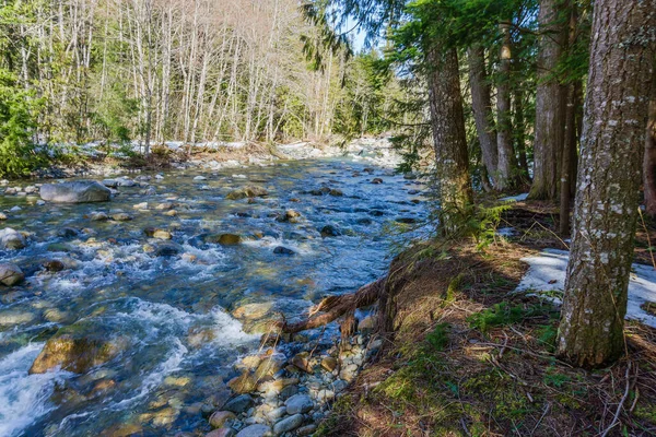Klares Wasser Fließt Über Und Felsen Denny Creek Bundesstaat Washington — Stockfoto