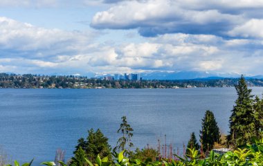 Bellevue, Washington 'un kıyı şeridinin ardında Cascade Dağları var..