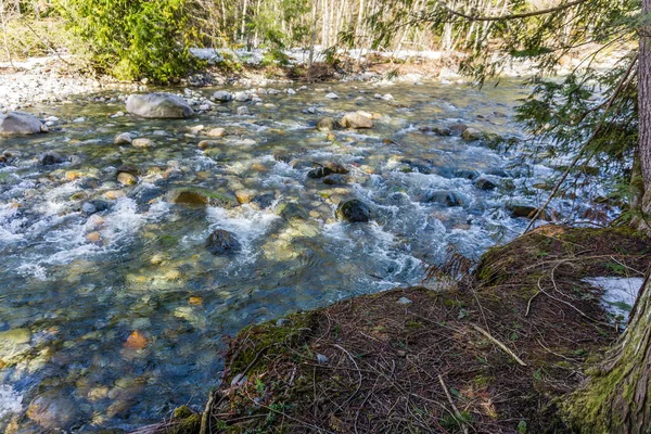 Clear Water Flows Rocks Denny Creek Washington State — Stock Photo, Image