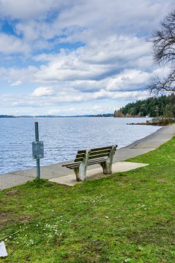 Seward Park 'tan Washington Gölü manzarası.