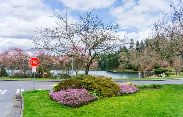 Frühlingsblumen Blühen Ufer Des Washingtonsees Seattle — Stockfoto