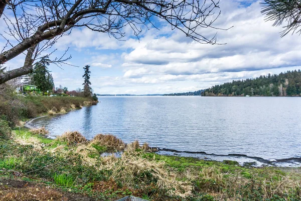 Uma Vista Lago Washington Seward Park — Fotografia de Stock