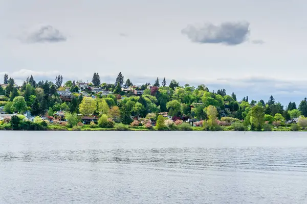 Uma Vista Costa Lago Washington Seattle — Fotografia de Stock