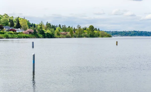 Una Vista Costa Del Lago Washington Seattle — Foto de Stock