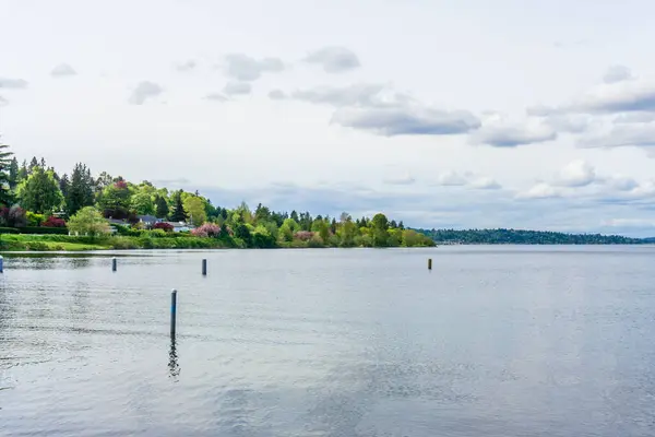 Μια Άποψη Της Ακτογραμμής Της Λίμνης Ουάσιγκτον Στο Σιάτλ — Φωτογραφία Αρχείου