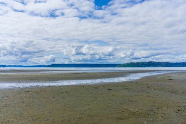 Washington 'daki Dash Point Eyalet Parkı' nda dalgalı kıyı şeridi manzarası.
