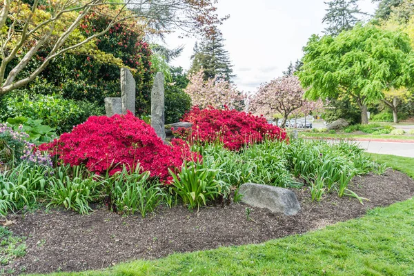 Сад Червоними Квітами Парку Сьюард Сіетлі Штат Вашингтон — стокове фото