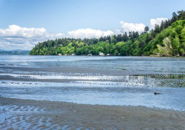 Dash Point Eyalet Parkı 'nın kıyı şeridi manzarası.