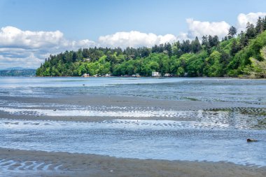 Dash Point Eyalet Parkı 'nın kıyı şeridi manzarası.