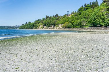 Des Moines, Washington 'daki Tuzlu Su Eyalet Parkı' nda aşırı bir dalga..