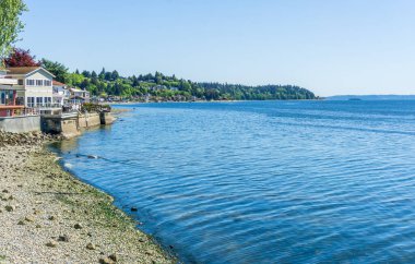 Olimpiyat Dağlarıyla Puget Sound manzarası.