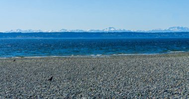 Washington, Des Moines 'te bir gelgit havuzu..