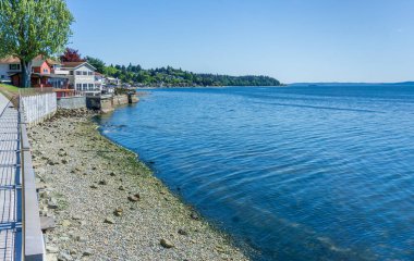 Olimpiyat Dağlarıyla Puget Sound manzarası.