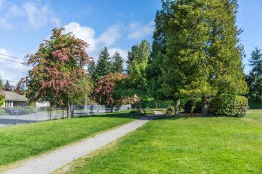 Burien, Washington 'daki bir şehir parkında bahar çiçeklerinin yanından geçen bir patika var..