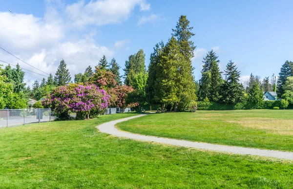 Ein Weg Führt Vorbei Frühlingsblumen Einem Stadtpark Burien Washington — Stockfoto