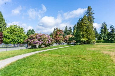 Burien, Washington 'daki bir şehir parkında bahar çiçeklerinin yanından geçen bir patika var..