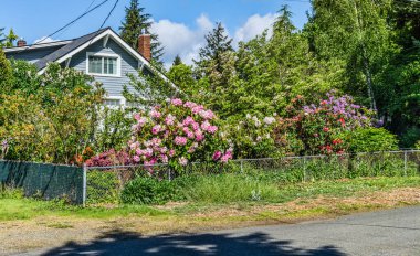 Burien, Washington 'da bir evin ön bahçesinde bahar çiçekleri..