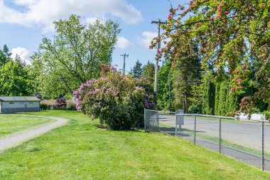 Burien, Washington 'da şehir parkı çimenleri ve bahar çiçekleri.
