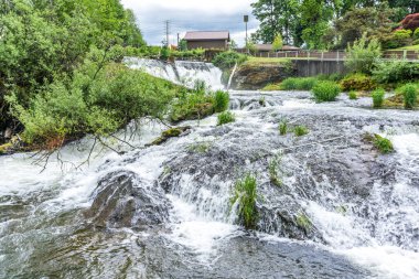 Washington 'da Tumwater Şelalesi manzarası.